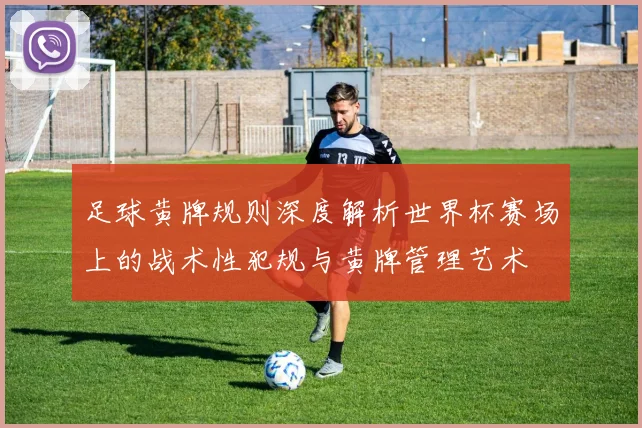 足球黄牌规则深度解析世界杯赛场上的战术性犯规与黄牌管理艺术